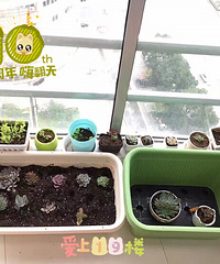 Ϊ�������Ҳ����˽�������ӰƱ ���������ԵĶ���