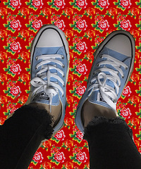 �����С���¡�