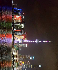 我就是来上海看夜景吃小杨生煎的