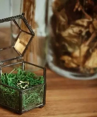 ����Ƶ�һ�������������ֻ��ֲ��ָ��������ͬ��ֻҪ50�ࣿ