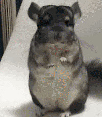 89��ů�� ��н10-15�� ���� 176cm