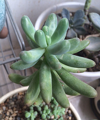 ɹɹ���ֵĶ���