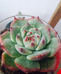 ���ֵ���ÿ���һ�����