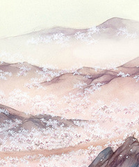 84�걾��MM ���� 156cm