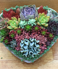 ���佷��MM ��ҵ���� ���� ��