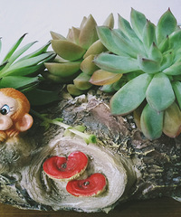 �ֵ���õ�һ�����