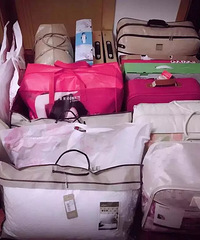 �������Ʒ���Ҽ��������˷ֹ�����