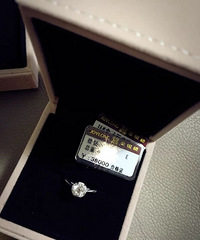 ������¥�� �鱦ȫ������