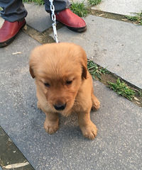 �������� Сë¿ ̤��Ħ�г�������ڻ���