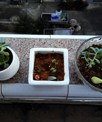 �ֵ���õ�һ�����