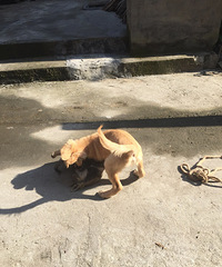 ��ë��ս����