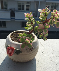 �ֵ���õĶ��⣬�Ҹо�ÿ�趼�ÿ���