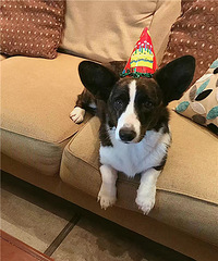 �f�f������һ������~��