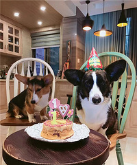 �f�f������һ������~��