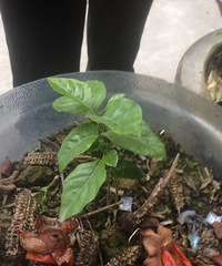 ���ⶼ�����ˡ�����������