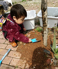 ���ۻ��ݵ������