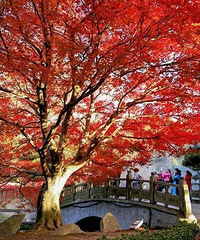 [����]������Сѩ���ͷ�����ʱ��