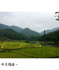 每年必去的国清寺  小走走确实不错