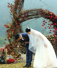 ������Ұ������Ҷ�̳ɡ���̺�� ���ݲ�𲼾�