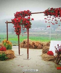 ������Ұ������Ҷ�̳ɡ���̺�� ���ݲ�𲼾�