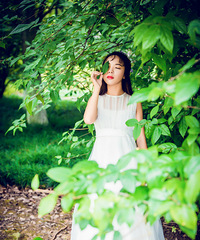 ���贺���ɭϵ