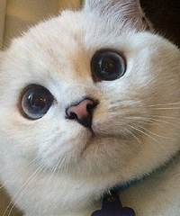 91�걾���� ������Դ ���Ͻ���