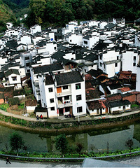 ϲ����һ������������������Ҹ���ͬѧ��������