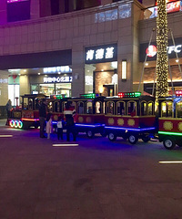 ������ʢС��