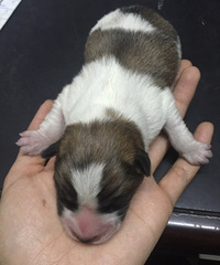 ������ ���� �л���԰Ȯ