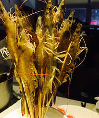 ���ֻ��Ի��ϵ��֮�������ʦ