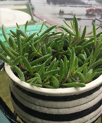 ���������С�ջ�