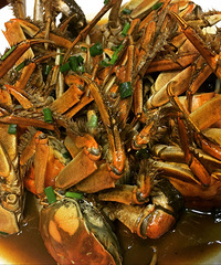 �ԳԳ���ֽ��Ҫ��ô��֮��˿��