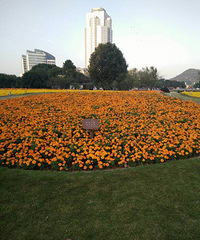 [��Ů]Ů�������еĳ��̺Ⱦ���ʲô������