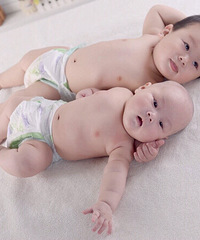 С�ֺ�СС��