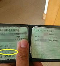 C1��ʻ֤�����¹涨���㶼��������