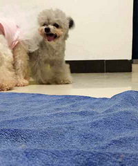 ����һ��Ҫ�� ����