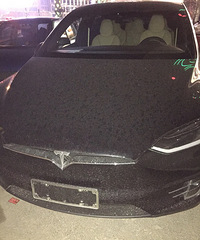 �����ĵڶ�ʮ���ڡ�һ��û�����Ƶ���˹��