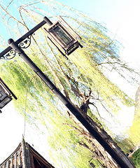 �ܾ��û��ǵ����ã��������ڵ����������ô