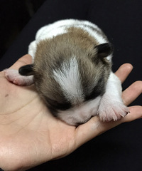 �����Ǿ�����