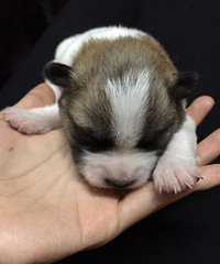 �����Ǿ�����