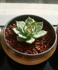 ����һ��Ķ��⣬�ֻ�ԭͼ