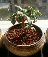 ����һ��Ķ��⣬�ֻ�ԭͼ