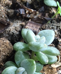 ɹɹ�Ҽҵ�����