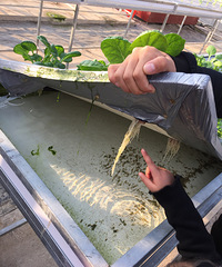 ������ȥ�Ķ������߼�����һ�ڡ����ǳ��ŷ�̤���˳���Сɡ������