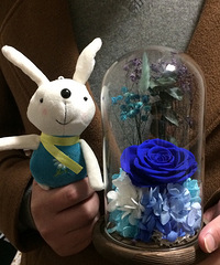 ����һ���꣬лл��������ҵ�������