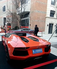 ��������Lp700�����