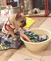 �ܽ�Ļ�ǰ����ͻ����㣬�Բۣ�̫������