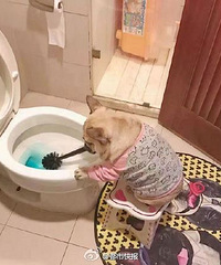 �ܽ�Ļ�ǰ����ͻ����㣬�Բۣ�̫������