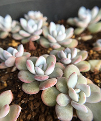 ��ϲ���Ķ���