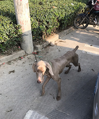 ���չ���